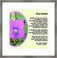 The Violet Classical Wildflower Nature Poetry By Jane Taylor Framed Print