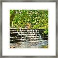 The Waterfall At Sesquicentennial State Park Framed Print