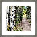 The Way Home Framed Print