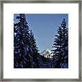 The Wedge Through The Trees Framed Print