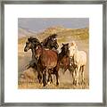 The Wild Bunch Framed Print