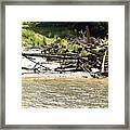 The Wreck Framed Print