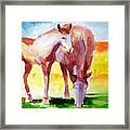 The Yearling Framed Print