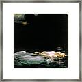 The Young Martyr Framed Print