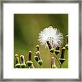 There Is A Season Framed Print