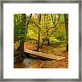There Is Peace - Allaire State Park Framed Print