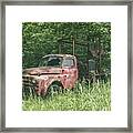 They Call Me Rusty Framed Print