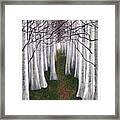 Thicket Framed Print
