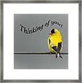 Thinking Of You - American Goldfinch Framed Print