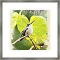 Thinking Of You Hummingbird In The Rain Greeting Card Framed Print