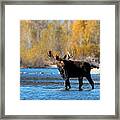Thirst Quenching Framed Print