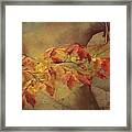This Ash Is On Fire Framed Print
