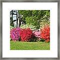 This Is Spring In Pa Framed Print