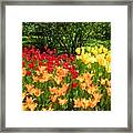 This Is Spring Framed Print