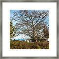 Thompson Trail Foliage In October Framed Print