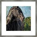 Thoughts Of Friesians Framed Print