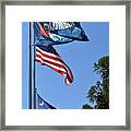 Three Flags Framed Print