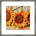 Three Graphic Sunflowers Framed Print