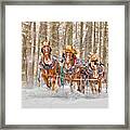 Three Horses Running Framed Print