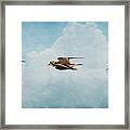 Three Killdeer Framed Print