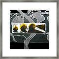Three Lemons Framed Print