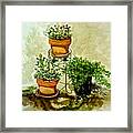 Three Potted Plants Framed Print