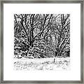 Three Tires And A Snowstorm Framed Print