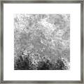 Three Trees With Clouds In Black And White Framed Print