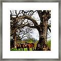 Three Under A Tree Framed Print