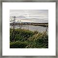 Thriving Under The Wind. Framed Print