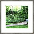 Through The Garden Framed Print