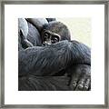Thumbs Up Framed Print