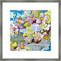 Thunbergia Collage Framed Print