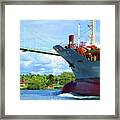 Ti Bridge Framed Print