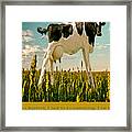 Ticklish Cow Framed Print