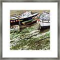 Tide Out Framed Print