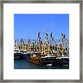 Tied Up At Kilmore Quay - Wexford Framed Print