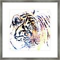 Tiger Abstract Framed Print