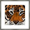 Tiger Eyes Framed Print