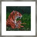 Tiger Family Framed Print
