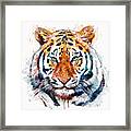 Tiger Head Watercolor Framed Print