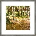 Tiger Lake Framed Print