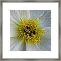 Tiny Explosion Framed Print