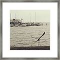 Tippy Toes Framed Print
