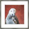 To Be Owned By A Grey Is To Know Love Framed Print