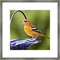 To Remind Us Of Summer, A Juvenile Framed Print