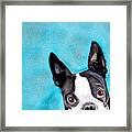 Toby Watercolor Framed Print