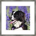 Todler With Wildflowers Framed Print