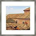 Toledo Roofs And Dove Framed Print