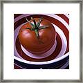 Tomato In Red And White Bowl Framed Print